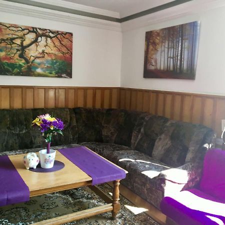 בראשוב Rolling Stone Hostel מראה חיצוני תמונה