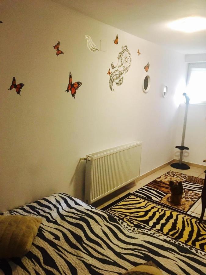 בראשוב Rolling Stone Hostel מראה חיצוני תמונה
